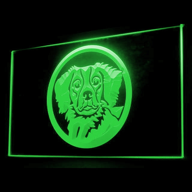 210019 Brittany Spaniel Pets Shop Home Decor Open Display illuminated Night Light Neon Sign 16 Color By Remote