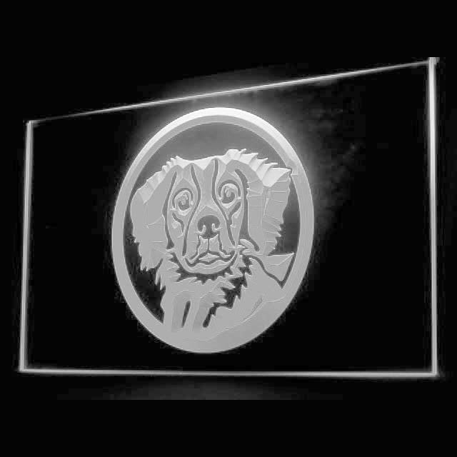 210019 Brittany Spaniel Pets Shop Home Decor Open Display illuminated Night Light Neon Sign 16 Color By Remote