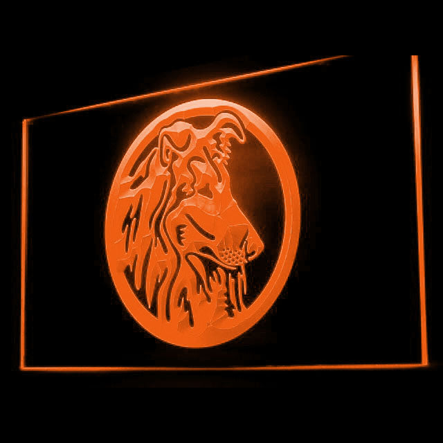 210025 Collie Pets Shop Home Decor Open Display illuminated Night Light Neon Sign 16 Color By Remote