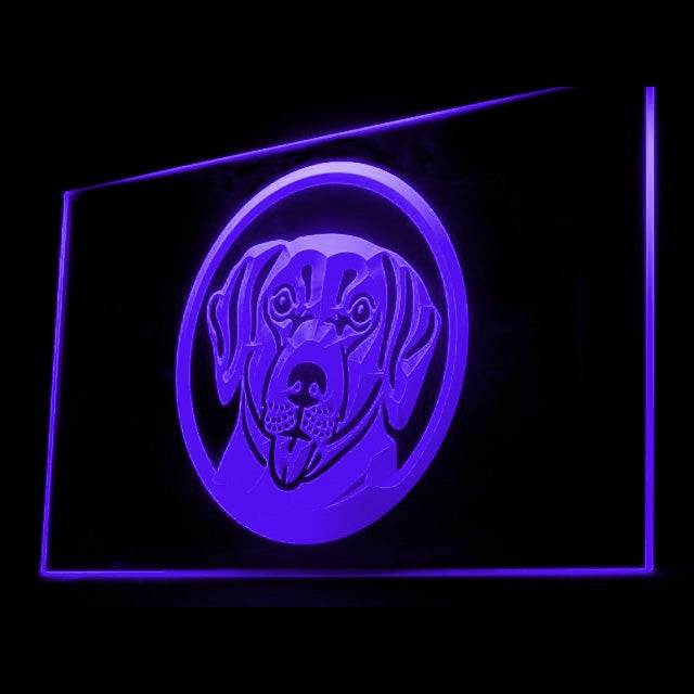 210034 Labrador Retriever Pets Shop Home Decor Open Display illuminated Night Light Neon Sign 16 Color By Remote