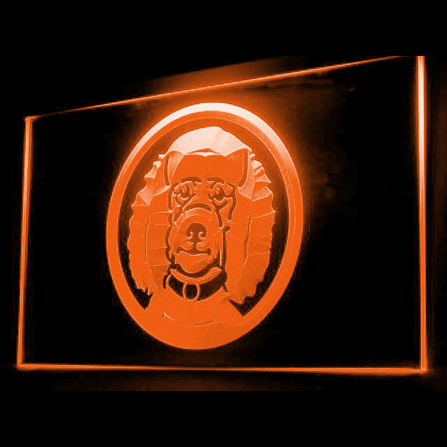 210042 Poodle Pets Shop Home Decor Open Display illuminated Night Light Neon Sign 16 Color By Remote