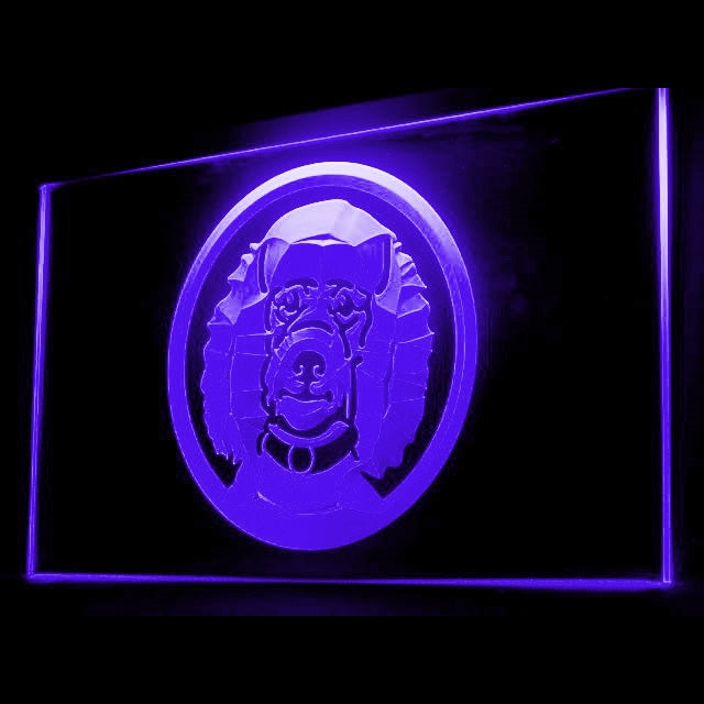 210042 Poodle Pets Shop Home Decor Open Display illuminated Night Light Neon Sign 16 Color By Remote