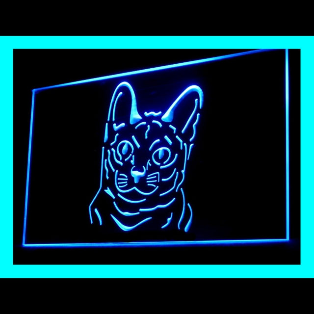 210081 Korat Cat Pets Shop Home Decor Open Display illuminated Night Light Neon Sign 16 Color By Remote