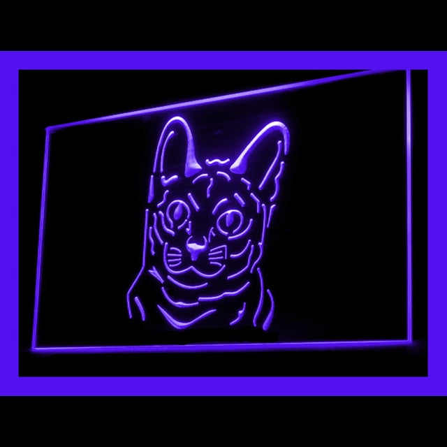 210081 Korat Cat Pets Shop Home Decor Open Display illuminated Night Light Neon Sign 16 Color By Remote
