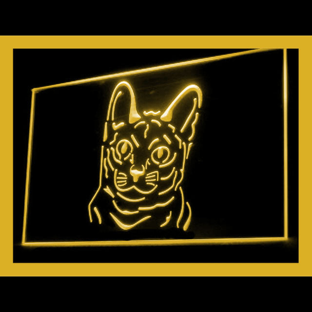 210081 Korat Cat Pets Shop Home Decor Open Display illuminated Night Light Neon Sign 16 Color By Remote