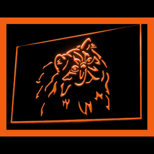 210084 Persian Cat Pets Shop Home Decor Open Display illuminated Night Light Neon Sign 16 Color By Remote
