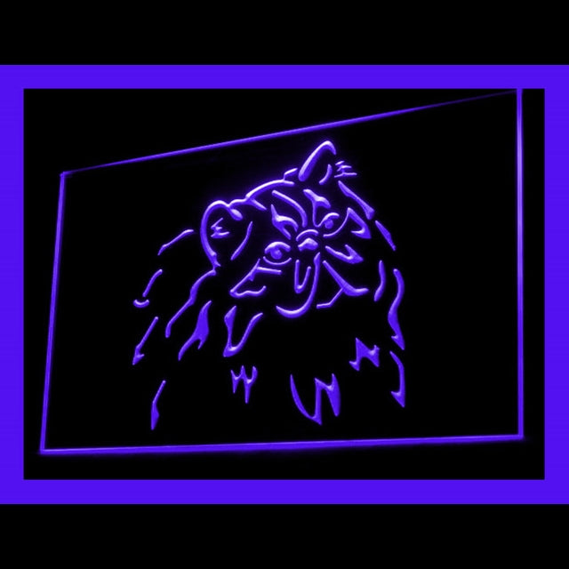 210084 Persian Cat Pets Shop Home Decor Open Display illuminated Night Light Neon Sign 16 Color By Remote