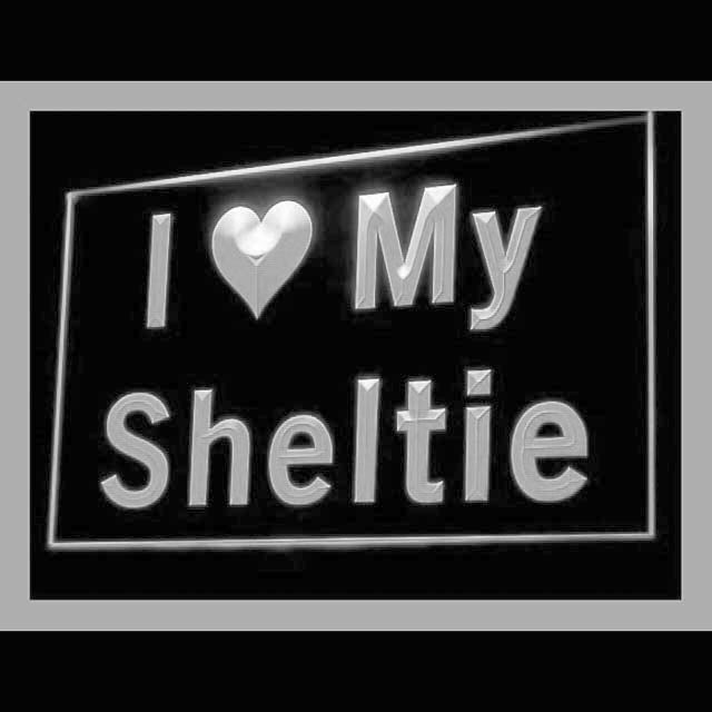 210098 I Love My Sheltie Loyalty Pet Purebred Home Decor Open Display illuminated Night Light Neon Sign 16 Color By Remote