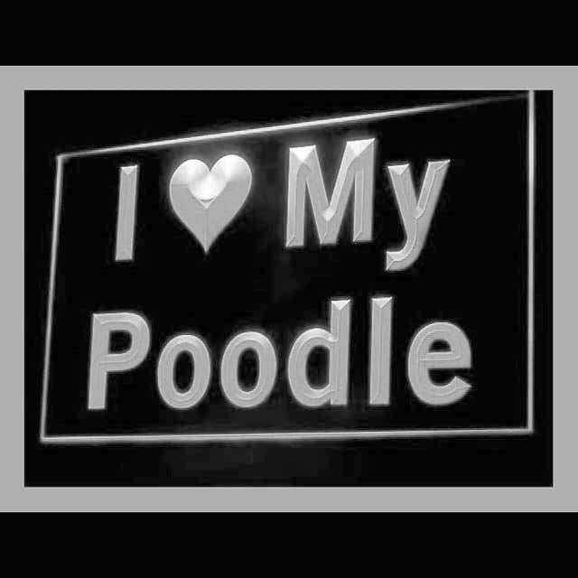 210119 I Love My Poodle Pets Shop Home Decor Open Display illuminated Night Light Neon Sign 16 Color By Remote