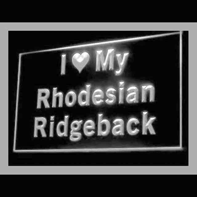 210120 I Love My Rhodesian Ridgeback Pets Home Decor Open Display illuminated Night Light Neon Sign 16 Color By Remote