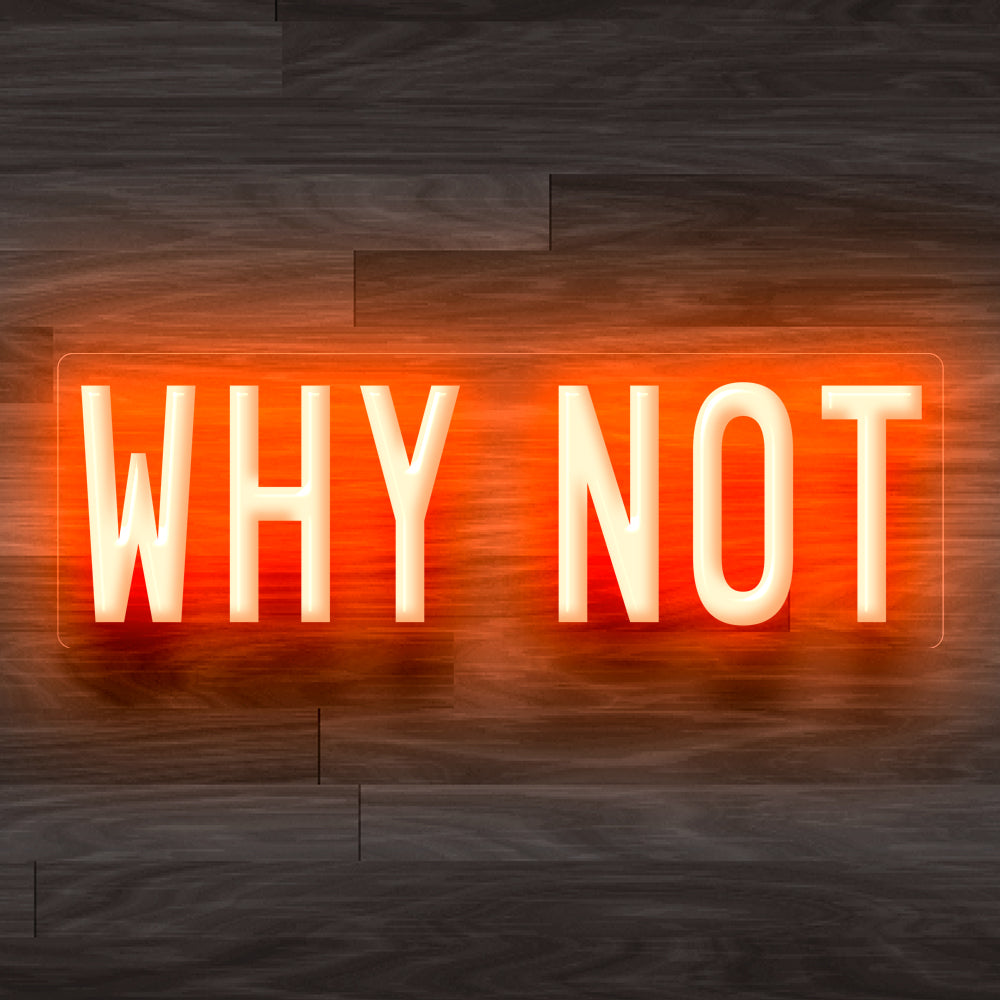 8X0004 Why Not Man Cave Living Home Decor Display Flexible illuminated Neon Sign