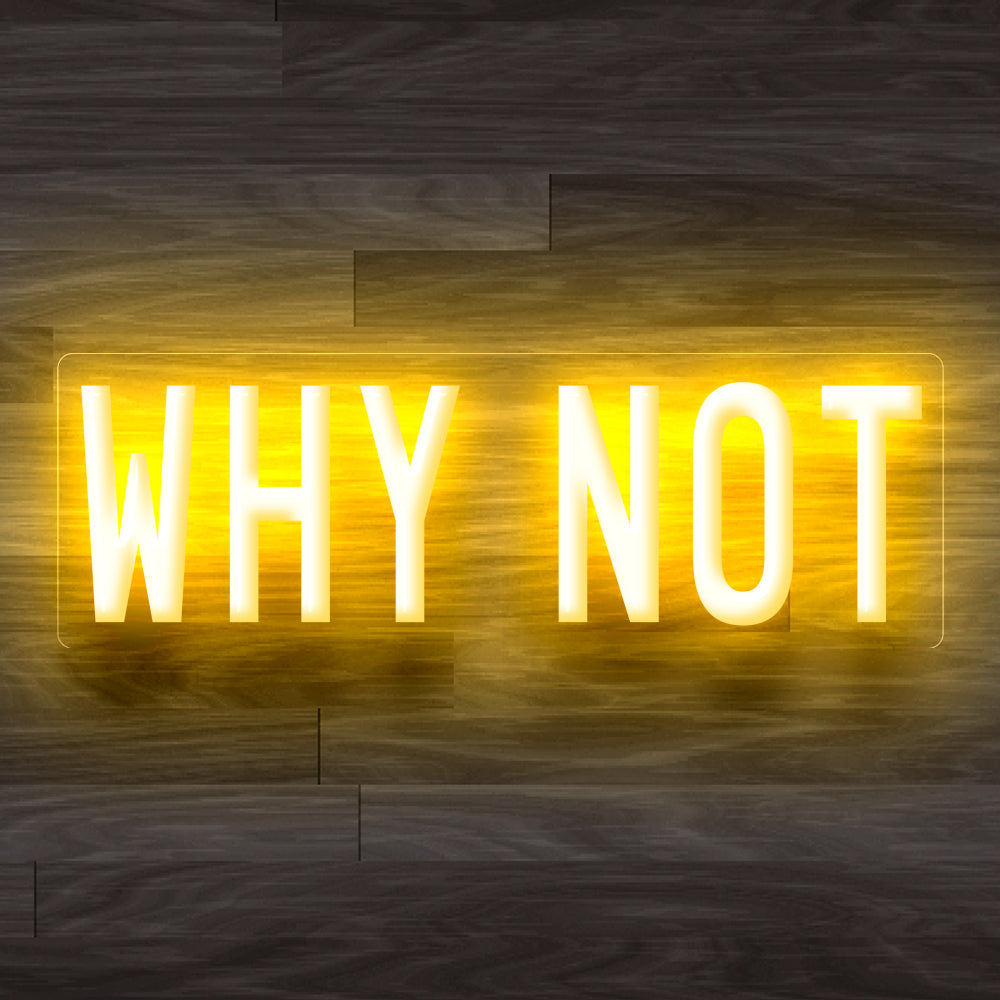 8X0004 Why Not Man Cave Living Home Decor Display Flexible illuminated Neon Sign