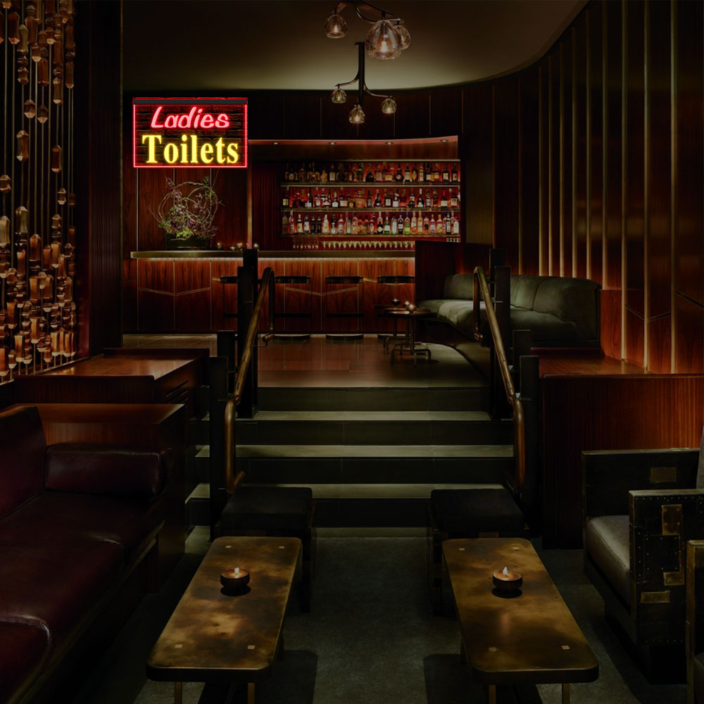 DC120070 Ladies Toilet Washroom Restroom Home Decor Display illuminated Night Light Neon Sign Dual Color