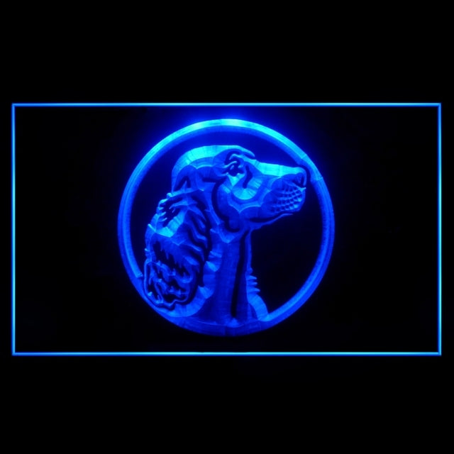 210033 Irish Setter Pets Shop Home Decor Open Display illuminated Night Light Neon Sign 16 Color By Remote