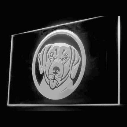 210034 Labrador Retriever Pets Shop Home Decor Open Display illuminated Night Light Neon Sign 16 Color By Remote