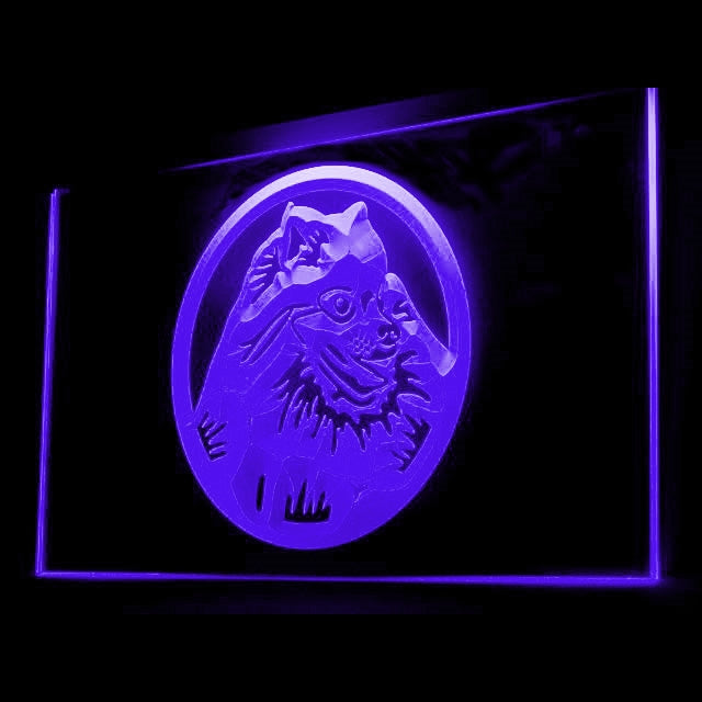 210041 Pomeranian Pets Shop Home Decor Open Display illuminated Night Light Neon Sign 16 Color By Remote