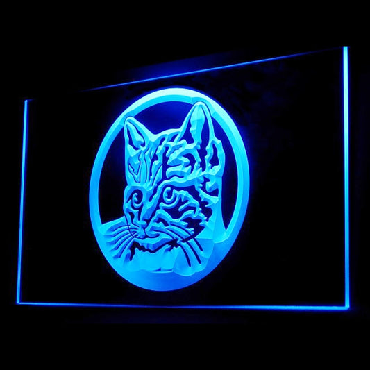 210058 British Shorthair Cat Pets Shop Home Decor Open Display illuminated Night Light Neon Sign 16 Color By Remote