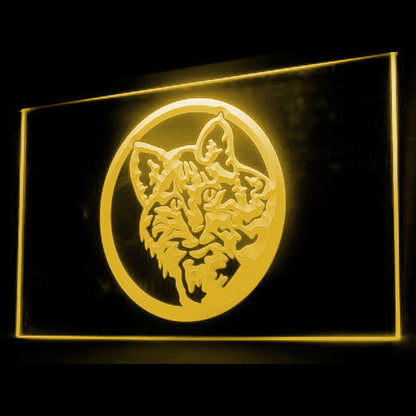 210059 Persian Longhair Cat Pets Home Decor Open Display illuminated Night Light Neon Sign 16 Color By Remote