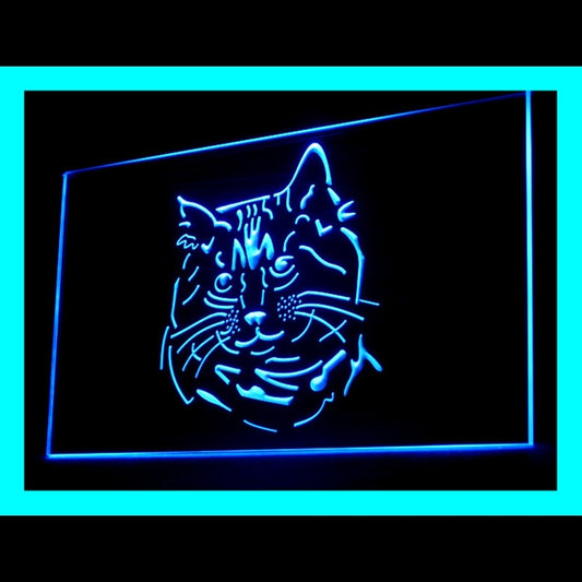 210079 Pixie Bob Cat Pets Shop Home Decor Open Display illuminated Night Light Neon Sign 16 Color By Remote