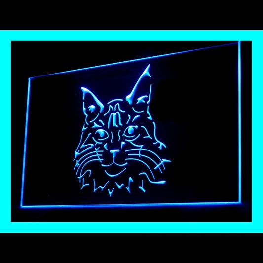 210080 Maine Coon Cat Pets Shop Home Decor Open Display illuminated Night Light Neon Sign 16 Color By Remote