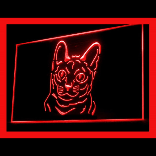 210081 Korat Cat Pets Shop Home Decor Open Display illuminated Night Light Neon Sign 16 Color By Remote