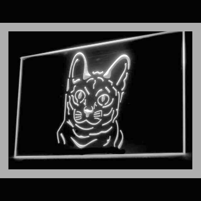 210081 Korat Cat Pets Shop Home Decor Open Display illuminated Night Light Neon Sign 16 Color By Remote