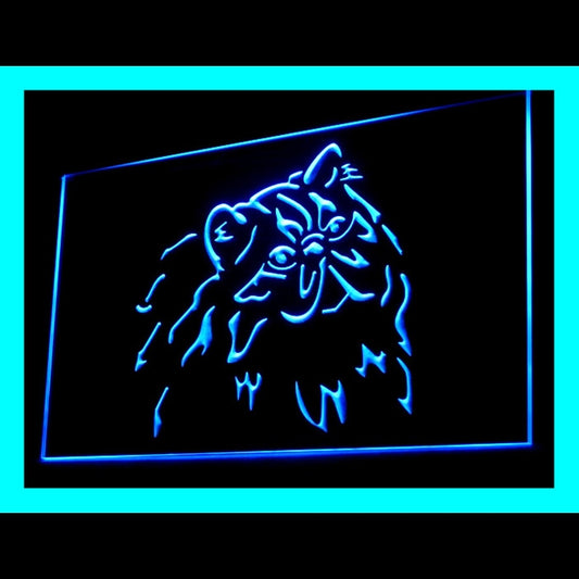 210084 Persian Cat Pets Shop Home Decor Open Display illuminated Night Light Neon Sign 16 Color By Remote