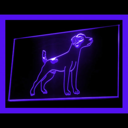 210190 Jack Russell Terrier Pets Shop Store Home Decor Open Display illuminated Night Light Neon Sign 16 Color By Remote