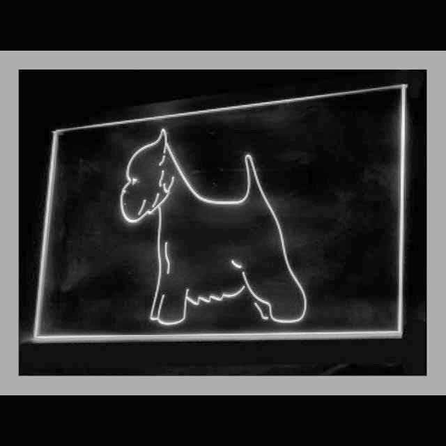 210192 Airedale Terrier Pets Shop Store Home Decor Open Display illuminated Night Light Neon Sign 16 Color By Remote