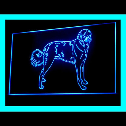 210200 Anatolian Pets Shop Store Home Decor Open Display illuminated Night Light Neon Sign 16 Color By Remote