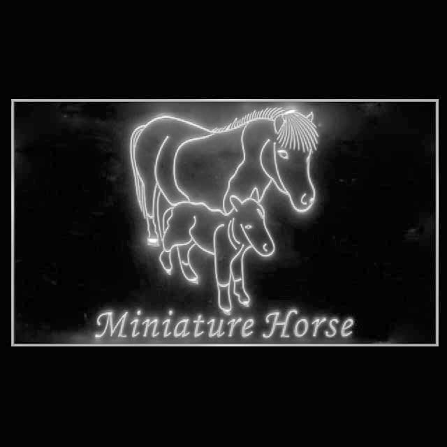 210254 Miniature Horses Home Decor Shop Store Home Decor Open Display illuminated Night Light Neon Sign 16 Color By Remote