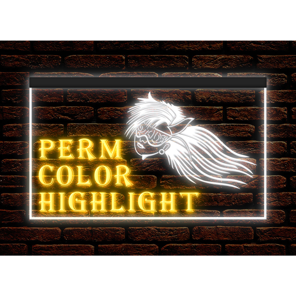 DC160028 Perm Color High Beauty Salon Home Decor Display illuminated Night Light Neon Sign Dual Color